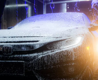 CUCI VAKUM (10X FREE 1)